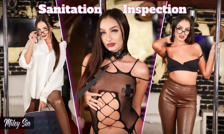 Sanitation Inspection
